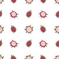 Pitaya fruits seamless pattern, pitahaya, tropical fruit pattern on a white background vector