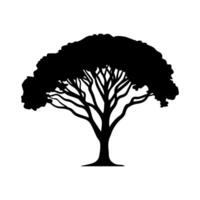 Silhouette of a large tree with a full crown and thick branches vector