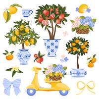 Mediterranean Element Set with Fruit Trees in Pots vector