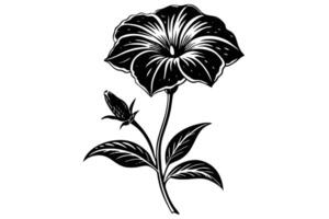 Elegant Black and White Illustration of a Tropical Flower vector