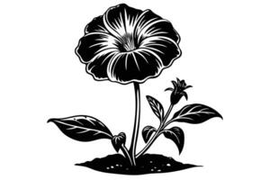 A black and White Illustration of a Tropical Flower vector