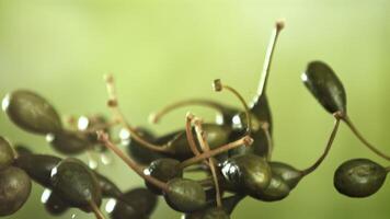 Salty capers fly up and fall down. Filmed on a high-speed camera at 1000 fps. High quality FullHD footage video