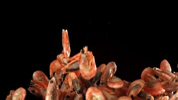 The shrimp fly up and fall down. Filmed on a high-speed camera at 1000 fps. High quality FullHD footage video