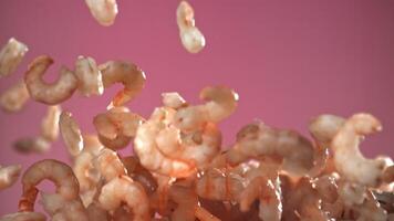 The shrimp fly up and fall down. Filmed on a high-speed camera at 1000 fps. High quality FullHD footage video