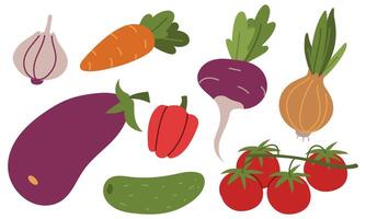 25set of vegetables is an illustration in a flat style. Colored flat with doodle elements. Colorful vegetables are suitable for decorating recipes, packaging, menus, stickers, farm or vegetarian style vector
