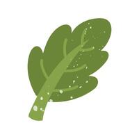 Green oak leaf with texture. Flat color isolated illustration with doodle elements. Greenery in the garden. Suitable for decorating children's and nature projects, prints, packaging, blogs vector