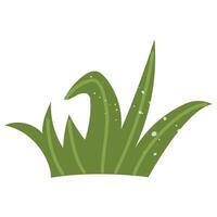 bunch of grass with texture. Flat color isolated illustration with doodle elements. Greenery in the garden. Suitable for decorating children's and nature projects, prints, packaging, blogs vector