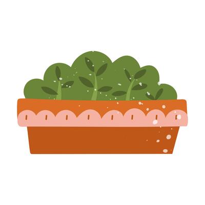A green fluffy bush in a flowerpot with texture. Flat color isolated doodle illustration. Sweet spring, summer. Suitable for decoration, postcards, packaging, prints, covers with a cozy