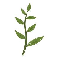 green deciduous branch with a texture. Flat color isolated illustration with doodle elements. Greenery in the garden. Suitable for decorating children's and nature projects, prints, packaging, blogs vector