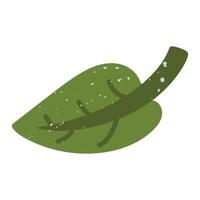 green lime leaf with a texture. Flat color isolated illustration with doodle elements. Greenery in the garden. Suitable for decorating children's and nature projects, prints, packaging, blogs vector