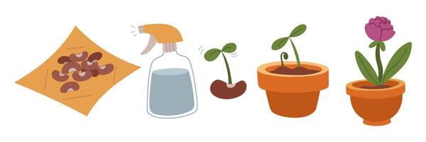 set the landing sequence. Seeds, spray bottle, sprout, clay vase, flower. Planting plants. An isolated collection of color illustrations. Suitable for postcards, prints, blog design, children's books vector