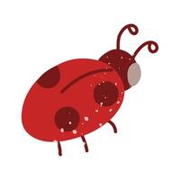 Ladybug in texture. Red with a mustache. Flat isolated color doodle illustration. An insect in the garden. Perfect for prints, packaging, posters, blogs and children's or nature projects in cozy style vector