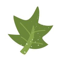 green maple leaf with a texture. Flat color isolated illustration with doodle elements. Greenery in the garden. Suitable for decorating children's and nature projects, prints, packaging, blogs vector