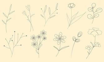set of flowers and plants on beige light background. Background image with sketches of plants. Floral patterns on light background vector