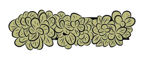 Green houseplant in a rectangular planter Top view vector