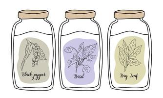 Set of spice jars with hand drawn labels vector
