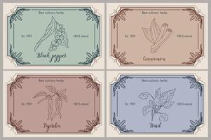 Spice labels with hand drawn botanical herb sketch vector
