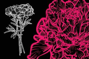 Peony flowers, format, hand drawn outline. Easy to edit, ready to use. A mix between a coral and a white flower on a black background. vector