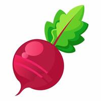 A beet with green leaves on it vector