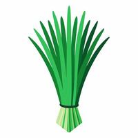 Green grass on a white background vector
