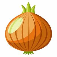 An onion is shown on a white background vector
