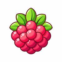 Juicy Raspberry. A Delightful Illustration vector