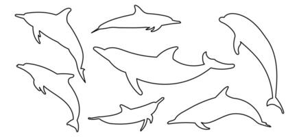 Dolphin outline collection isolated on white background vector
