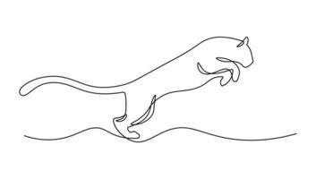 Jumping Panther, Jaguar, Tiger one line drawing with on white isolated background. vector