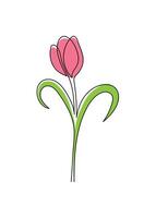 Tulip flower in continuous line art drawing style. vector