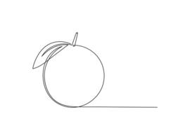 Orange fruit in continuous line art drawing style. Fruit minimalist black linear sketch isolated on white background. vector