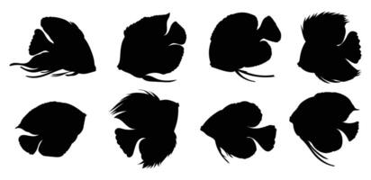 Silhouette discus fish on white background vector