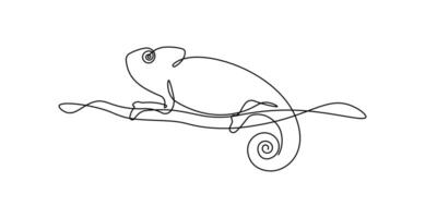 Chameleon animal in continuous line art drawing style. Minimalist black linear sketch isolated on white background. vector
