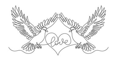 Doves as a Symbol of Love and Affection, One line drawing on a white isolated background vector