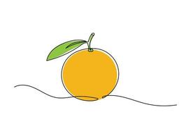 Orange fruit continuous one line drawing on a white isolated background. vector