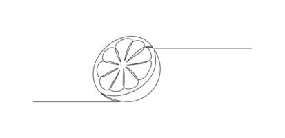 Orange fruit in continuous line art drawing style. Fruit minimalist black linear sketch isolated on white background vector