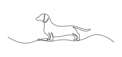 Dachshund dog one line drawing on a white isolated background vector