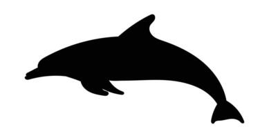 Silhouette dolphin isolated on white background, vector