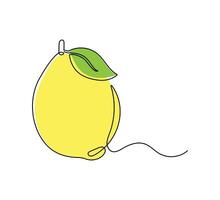 Lemon continuous one line stroke on a white isolated background. Fruit illustration vector