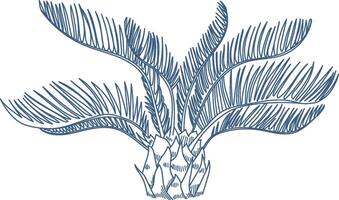 Palm Outline Sketch vector