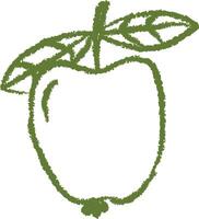 Apple Sketch with Leaf vector
