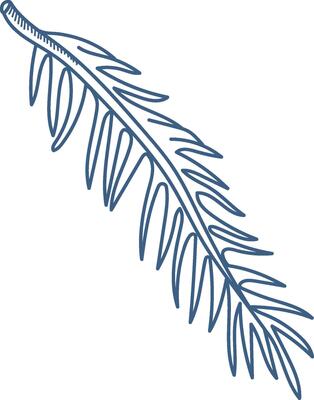 Single Palm Leaf Sketch Element
