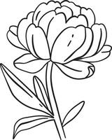 Peony Flower Line Style Drawing Element vector