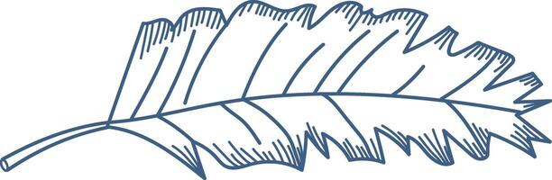 Single Leaf Sketch vector