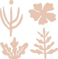 Abstract Botanical Shapes Designs vector