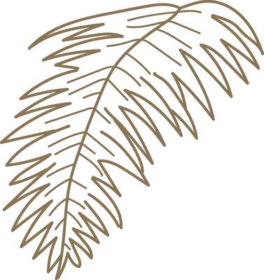 Tropical Leaf Tree Outline Sketch