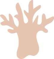 Abstract Coral Design vector