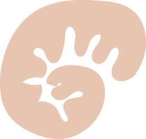 Abstract Nautilus Shell Shape vector