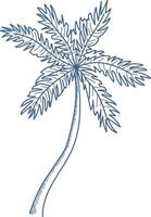 Single Palm Tree Sketch vector