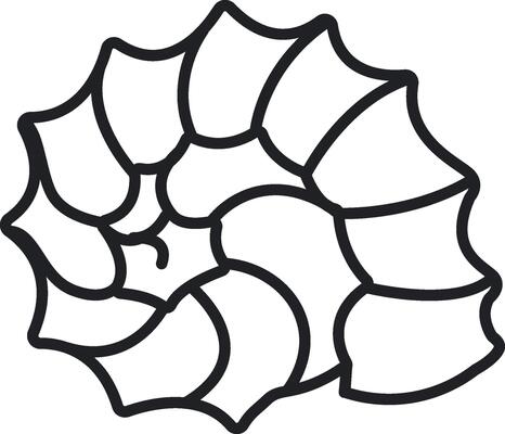 Abstract Nautilus Shell Line Art