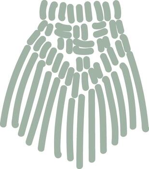 Abstract Textile Pattern vector